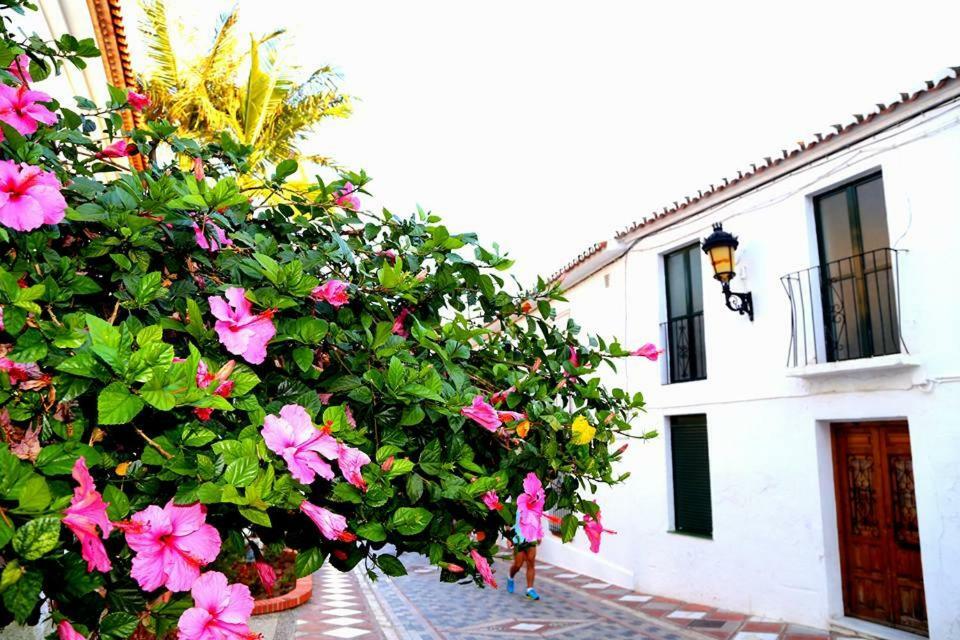 Beautiful Apartment With Sea Views, Benal Beach Benalmádena Zewnętrze zdjęcie